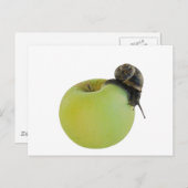 Schnecke und Apfel Postkarte (Vorne/Hinten)