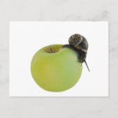 Schnecke und Apfel Postkarte (Vorderseite)