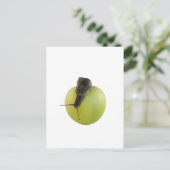 Schnecke und Apfel Postkarte (Stehend Vorderseite)