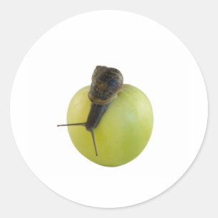 Schnecke und Apfel Runder Aufkleber