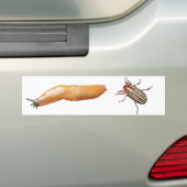 Schnecke und Wanze Autoaufkleber (Auf Auto)