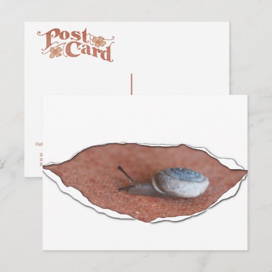 Schnecke unter Torfmaterial Postkarte (Vorne/Hinten)