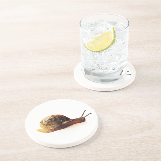 Schnecke Untersetzer (Seite)