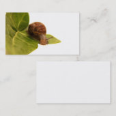 Schnecke-Visitenkarte Visitenkarte (Vorne/Hinten)