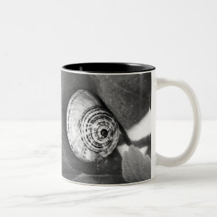 Schnecke Zweifarbige Tasse