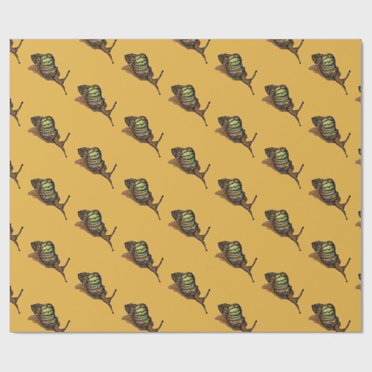 Schneckegeschenkverpackung Geschenkpapier (Flach)