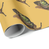 Schneckegeschenkverpackung Geschenkpapier (Rolleneckpunkt)