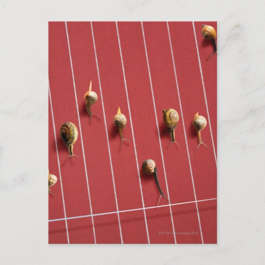 Schnecken auf dem Lastwagen Postkarte (Vorderseite)