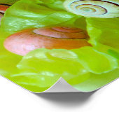 Schnecken auf Salat Poster (Ecke)