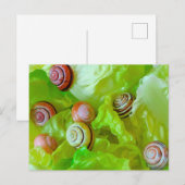 Schnecken auf Salat Postkarte (Vorne/Hinten)