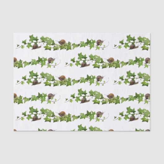 Schnecken aus Ivy-Gewebe Seidenpapier (Vorderseite)