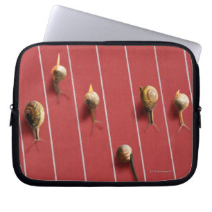 Schnecken, die auf den LKW laufen Laptopschutzhülle
