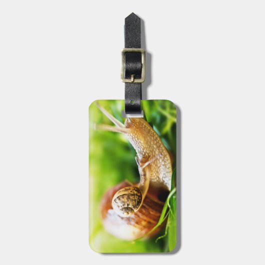 Schnecken Gepäckanhänger (Vorderseite vertikal)