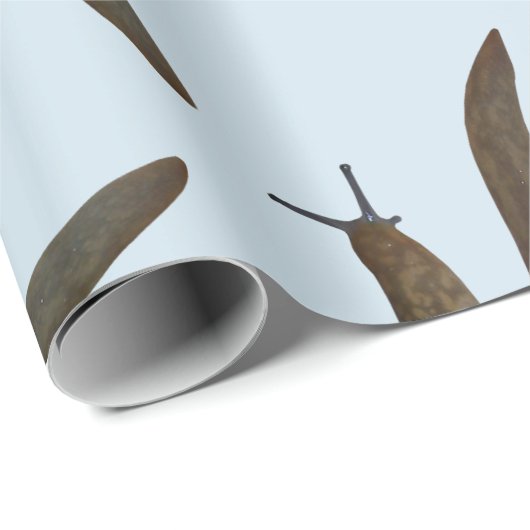 Schnecken Geschenkpapier (Rolleneckpunkt)