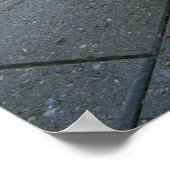 "Schnecken in Australien: Ein knuddeliger grauer Q Poster (Ecke)