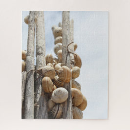 Schnecken in Spanien Puzzle