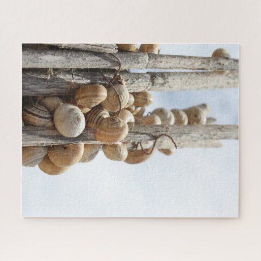 Schnecken in Spanien Puzzle (Horizontal)