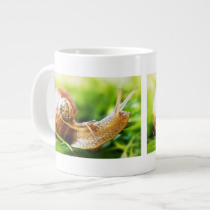 Schnecken Jumbo-Tasse