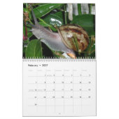 Schnecken Kalender (Feb 2027)