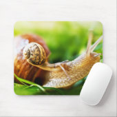 Schnecken Mousepad (Mit Mouse)
