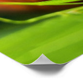 Schnecken Poster (Ecke)