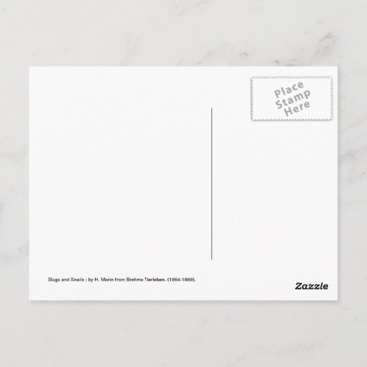 Schnecken Postkarte (Rückseite)