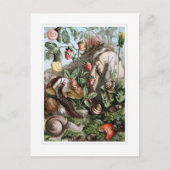 Schnecken Postkarte (Vorderseite)