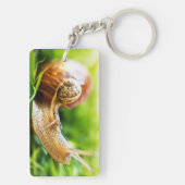 Schnecken Schlüsselanhänger (Rückseite)