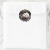 Schneckenaufkleber Runder Aufkleber (Tasche)
