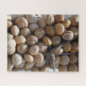 SchneckenCluster Puzzle (Horizontal)