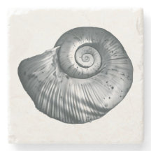 Schneckengehäuse