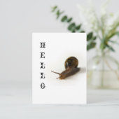 Schneckengeschwindigkeit Postkarte (Stehend Vorderseite)