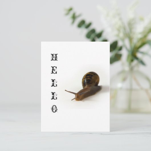 Schneckengeschwindigkeit Postkarte (Stehend Vorderseite)