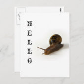 Schneckengeschwindigkeit Postkarte (Vorne/Hinten)