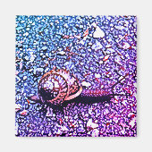 Schneckenmosaik Magnet (Vorne)