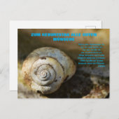 Schneckenpost Postkarte (Vorne/Hinten)