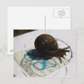 Schneckenpost Postkarte (Vorne/Hinten)