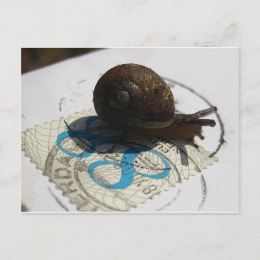 Schneckenpost Postkarte (Vorderseite)
