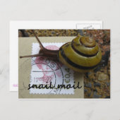 Schneckenpost Postkarte (Vorne/Hinten)