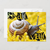 Schneckenpost Postkarte (Vorne/Hinten)