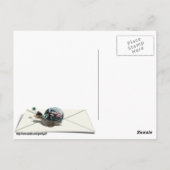 Schneckenpost Postkarte (Rückseite)