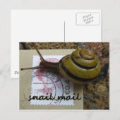 Schneckenpost Postkarte (Vorne/Hinten)