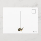 Schneckenpost Postkarte (Rückseite)