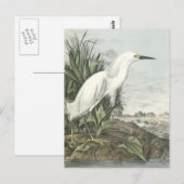 Schneckenreiher Postkarte (Vorne/Hinten)