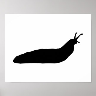 Schneckenschnecke Poster