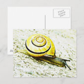 Schneckentempo Postkarte (Vorne/Hinten)