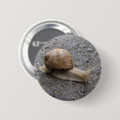 Schneckenwanderung Button (Vorne & Hinten)