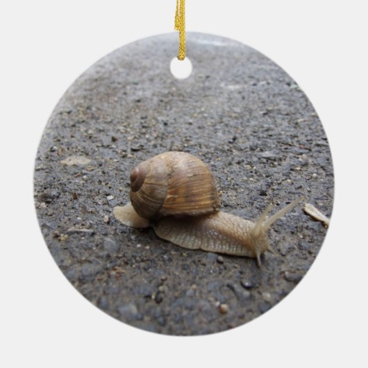 Schneckenwanderung Keramikornament (Hinten)