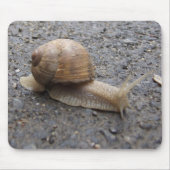 Schneckenwanderung Mousepad (Vorne)
