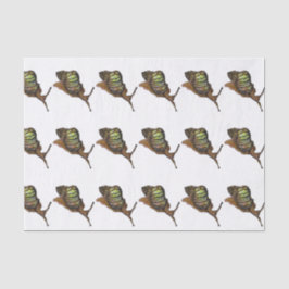 SchneckeSeidenpapier Seidenpapier